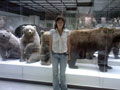 Катя и медведи. Музей Дарвина
