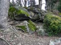 Замшелые камни в парке