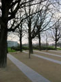 Парк у Лувра